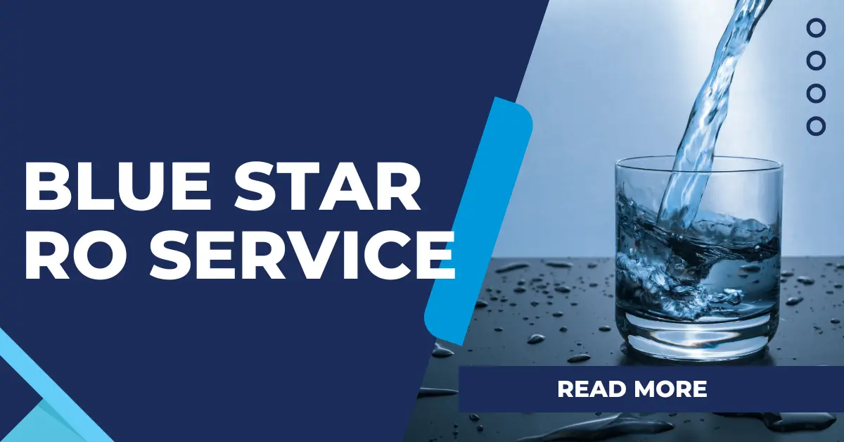 Blue Star RO Service